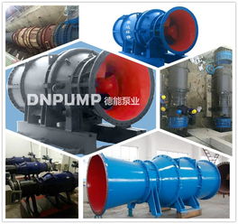 德能泵業(yè) 專業(yè)制造160kw400qzb大流量潛水貫流泵與臥式全貫流泵的領先廠家